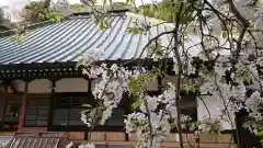 石雲寺の自然