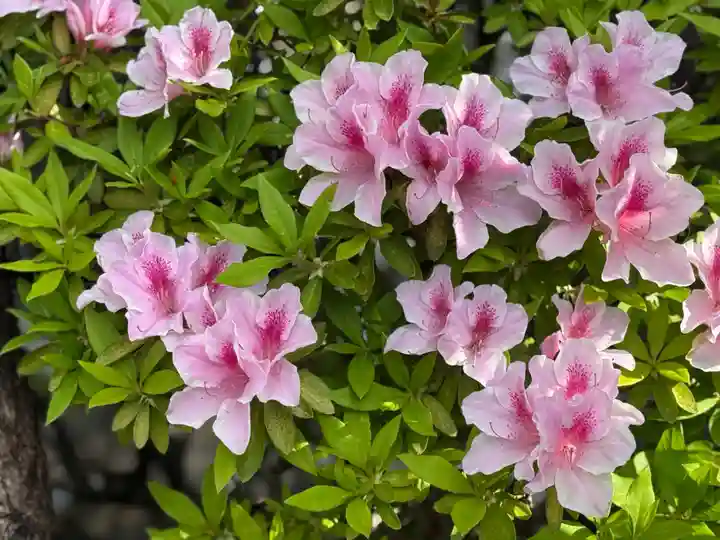 西方山極楽寺(岐阜県)