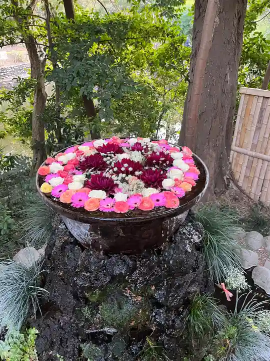 武蔵一宮氷川神社(埼玉県)