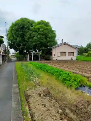 撞賢木厳之御魂天疎向津媛命神社(奈良県)