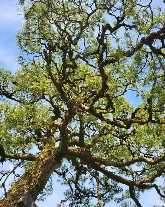 満月寺(浮御堂)の自然