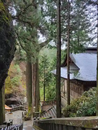 榛名神社の建物その他