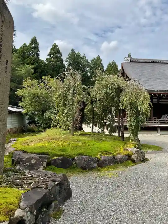 西芳寺の庭園
