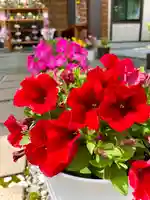 伊達神社(北海道)