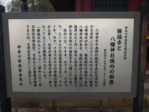 勝福寺の歴史