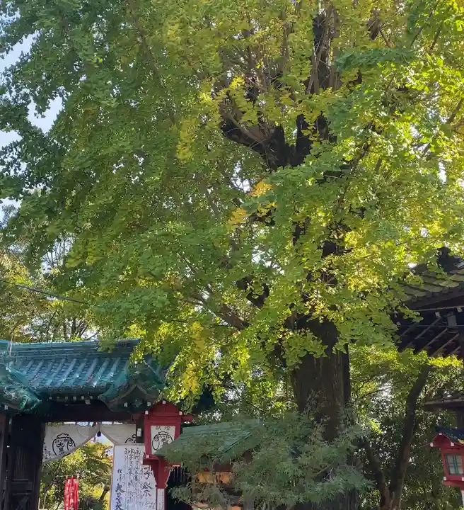 松ヶ崎大黒天 妙圓寺(妙円寺)(京都府)