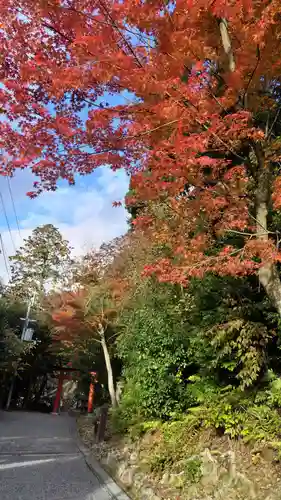 吉田神社(京都府)