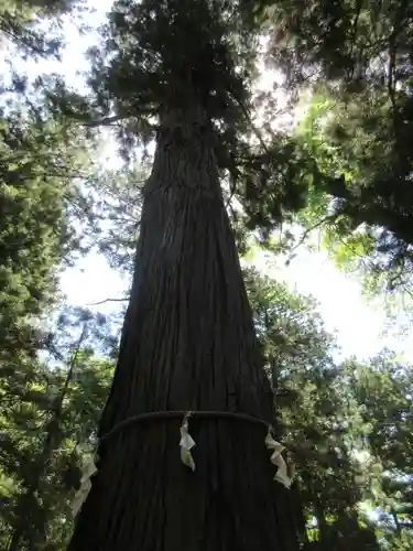 河口浅間神社のその他建物