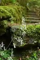 東陸様(高知県)