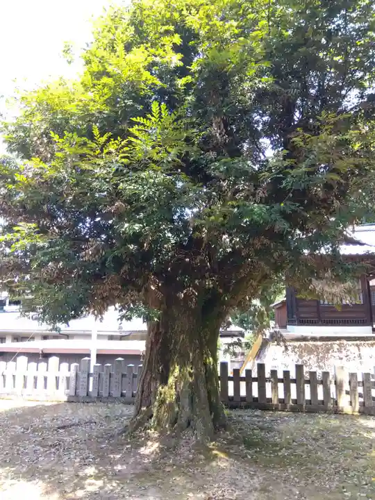 不老神社(福井県)
