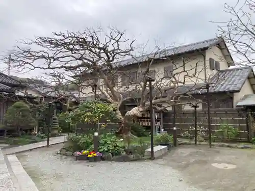 補陀洛寺(神奈川県)