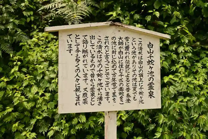 白山神社(長滝神社・白山長瀧神社・長滝白山神社)(岐阜県)
