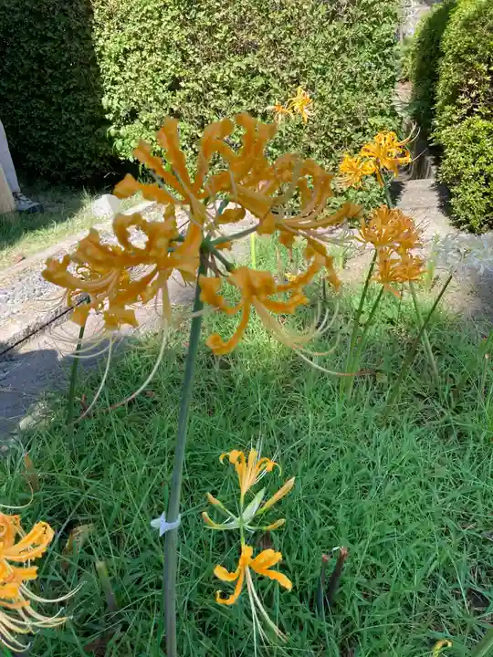 横浜 西方寺(神奈川県)