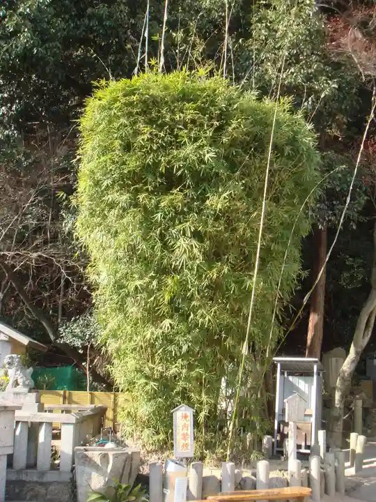 福祥寺(須磨寺)の自然
