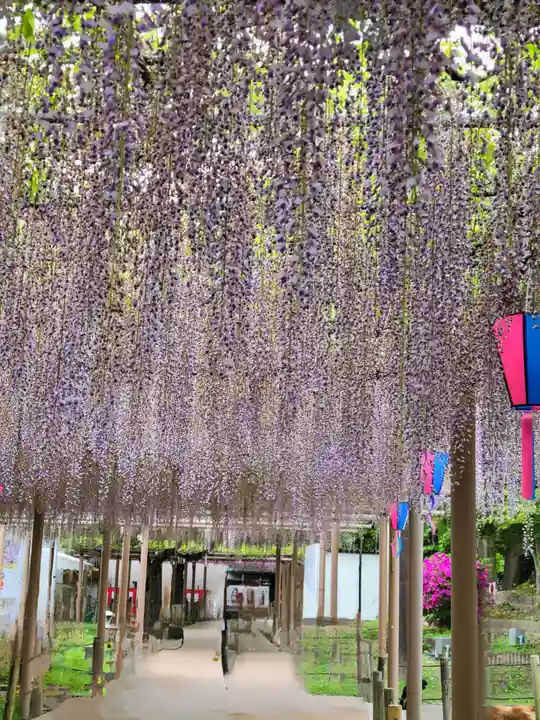 曼陀羅寺の庭園