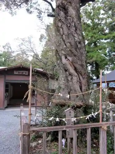 井伊谷宮のその他建物