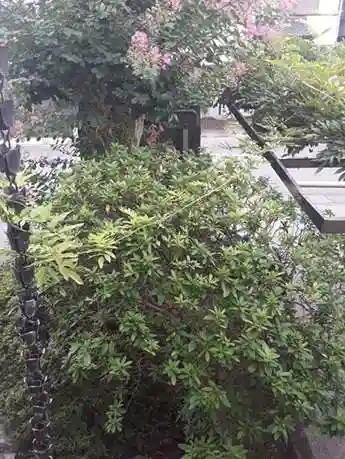 西方山極楽寺(岐阜県)