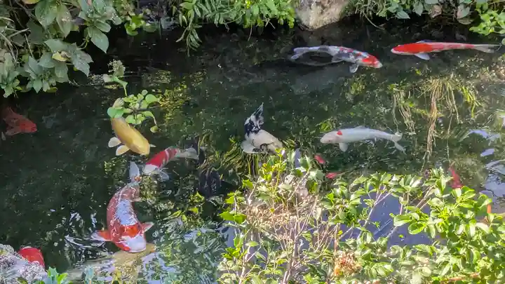 乘願院(京都府)