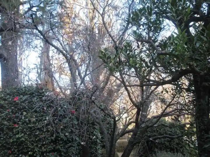 吉祥寺(東京都)