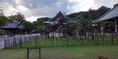 大光院 新田寺のその他建物