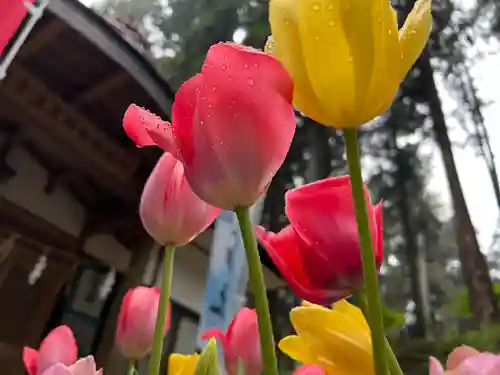 大宮温泉神社の自然