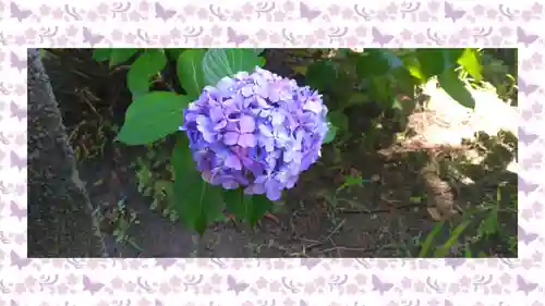 於菊稲荷神社(群馬県)