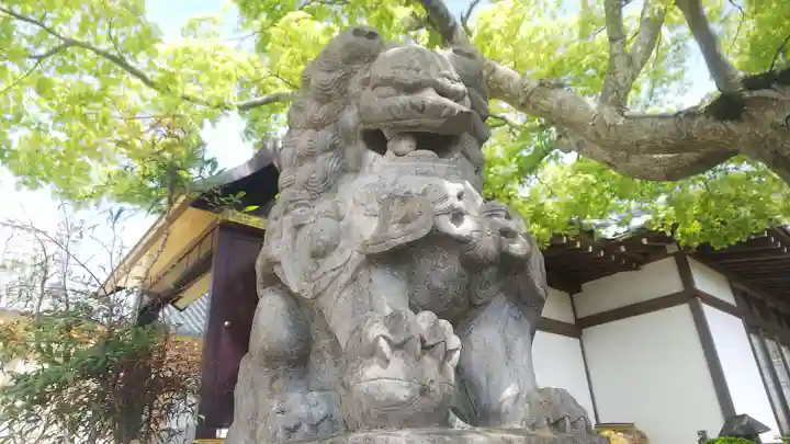 豊泉寺の狛犬