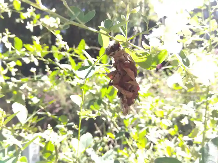 瑞源寺(福井県)