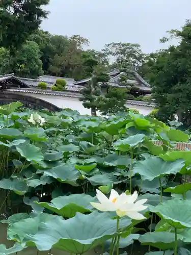 雲龍山 本證寺の庭園