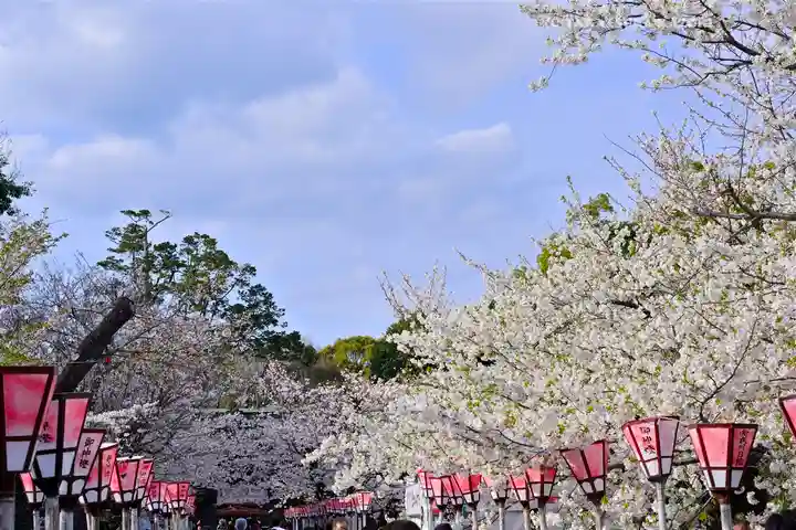 三嶋大社(静岡県)