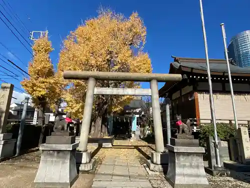 飛木稲荷神社の鳥居