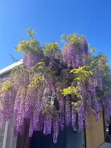 真如寺(大阪府)