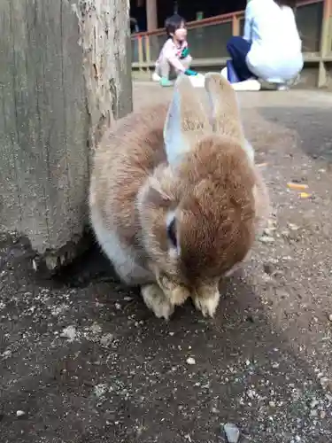 東本願寺本廟 牛久浄苑（牛久大仏）の動物