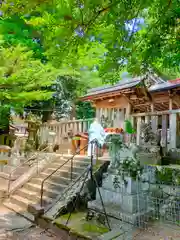 天鷹神社のお祭り