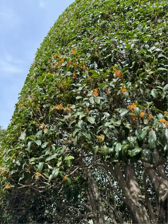 光巌寺(群馬県)