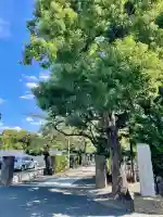 安養寺(東京都)