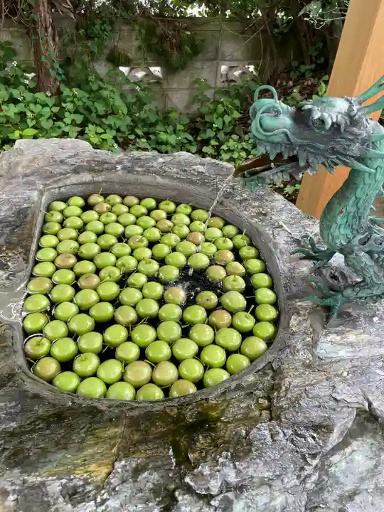 廣田神社~病厄除守護神~(青森県)