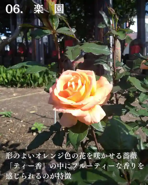 宝光寺(北海道)