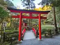 狭井坐大神荒魂神社(狭井神社)(奈良県)