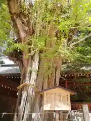 飛騨一宮水無神社(岐阜県)