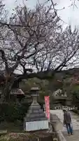 大豊神社(京都府)