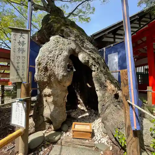 生島足島神社(長野県)