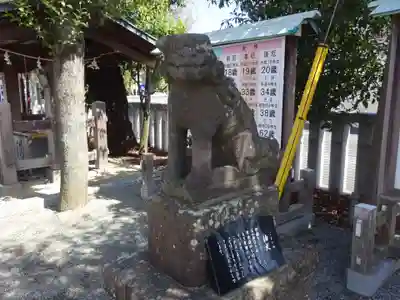 伊勢原大神宮の狛犬