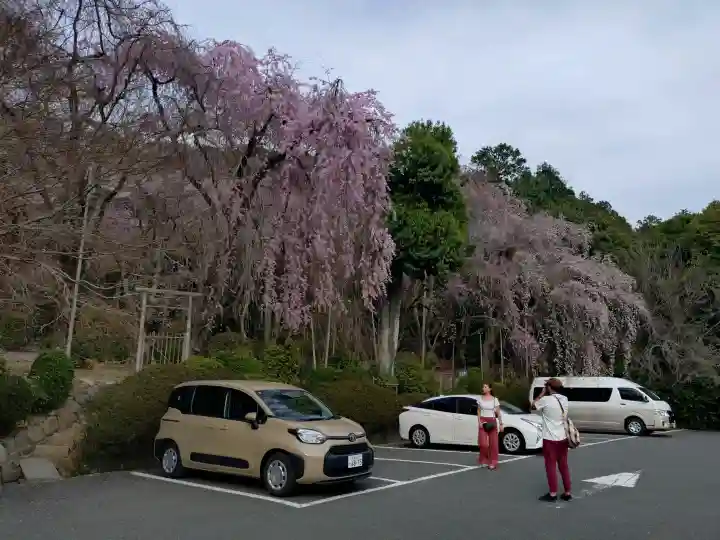 龍安寺の{uncategorized: "未分類", other: "その他", undefined: "問題あり", building: "その他建物", grave: "お墓", sacred_gate: "鳥居", guardian: "狛犬", statue: "像", buddha: "仏像", history: "歴史", nature: "自然", garden: "庭園", animal: "動物", pagoda: "塔", temizu: "手水舎", mountain_gate: "山門・神門", sanctuary: "本殿・本堂", subordinate: "末社・摂社", art: "芸術", scenery: "景色", jizo: "地蔵", ema: "絵馬", goshuin: "御朱印", omikuji: "おみくじ", items: "授与品その他", amulet: "お守り", goshuincho: "御朱印帳", eats: "食事", festival: "お祭り", votive_dance: "神楽", shichigosan: "七五三参", wedding: "結婚式", experience: "体験その他", initially: "初詣", around: "周辺", anti_infection: "感染症対策"}