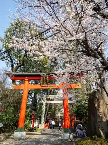 馬橋稲荷神社(東京都)