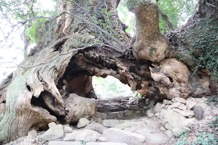 大山祇神社奥の院 生樹の御門(愛媛県)