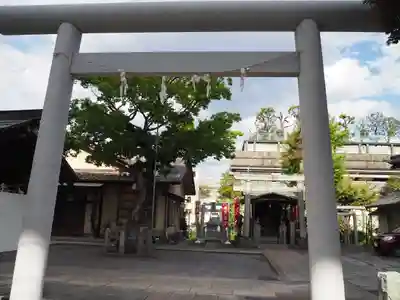 小菅神社の鳥居
