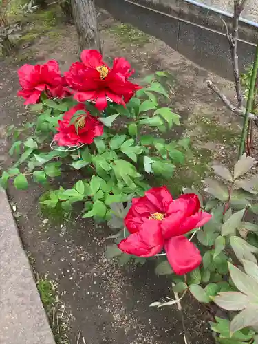 慈眼寺(神奈川県)