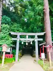 麻賀多神社の鳥居