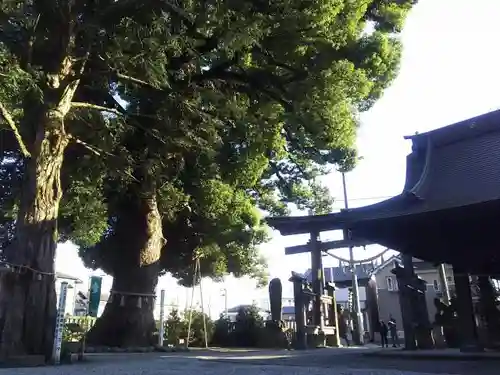 金鑚神社の自然